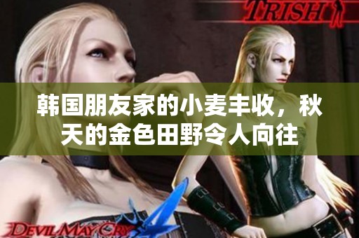 韓國(guó)朋友家的小麥豐收，秋天的金色田野令人向往