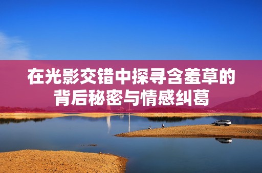 在光影交錯中探尋含羞草的背后秘密與情感糾葛