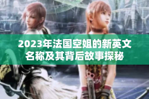 2023年法國空姐的新英文名稱及其背后故事探秘