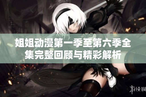 姐姐動(dòng)漫第一季至第六季全集完整回顧與精彩解析