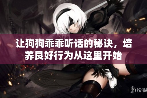 讓狗狗乖乖聽話的秘訣，培養(yǎng)良好行為從這里開始