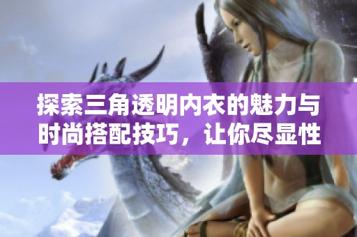 探索三角透明內(nèi)衣的魅力與時(shí)尚搭配技巧，讓你盡顯性感風(fēng)采