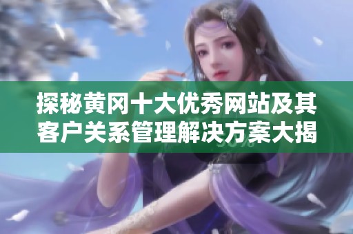 探秘黃岡十大優(yōu)秀網(wǎng)站及其客戶關(guān)系管理解決方案大揭秘
