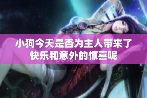 小狗今天是否為主人帶來(lái)了快樂和意外的驚喜呢