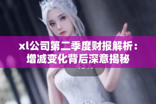 xl公司第二季度財(cái)報(bào)解析：增減變化背后深意揭秘