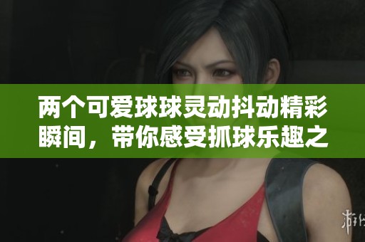兩個可愛球球靈動抖動精彩瞬間，帶你感受抓球樂趣之旅