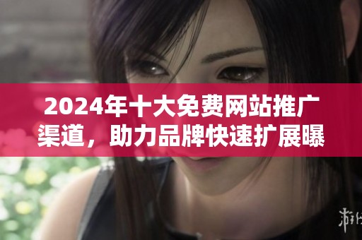 2024年十大免費(fèi)網(wǎng)站推廣渠道，助力品牌快速擴(kuò)展曝光率