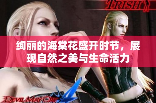 絢麗的海棠花盛開時(shí)節(jié)，展現(xiàn)自然之美與生命活力