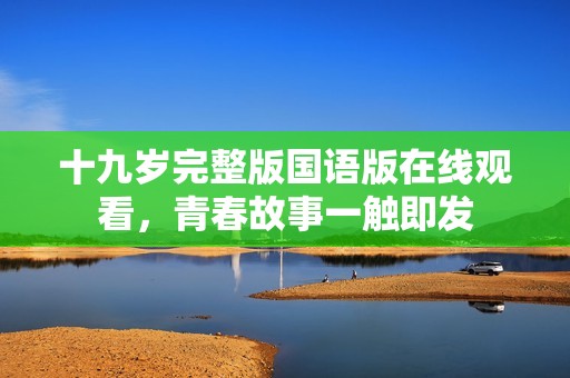 十九歲完整版國語版在線觀看，青春故事一觸即發(fā)