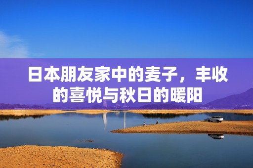 日本朋友家中的麥子，豐收的喜悅與秋日的暖陽
