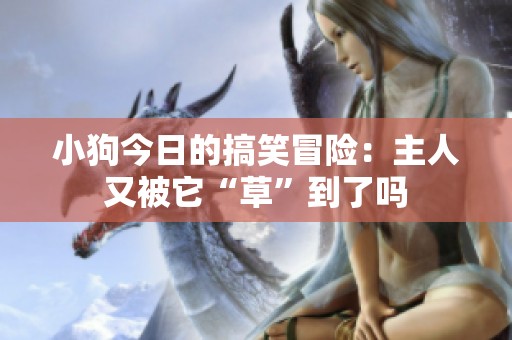 小狗今日的搞笑冒險：主人又被它“草”到了嗎
