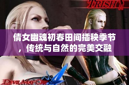 倩女幽魂初春田間插秧季節(jié)，傳統(tǒng)與自然的完美交融