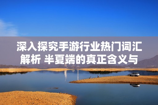 深入探究手游行業(yè)熱門詞匯解析 半夏端的真正含義與其解說背后的故事