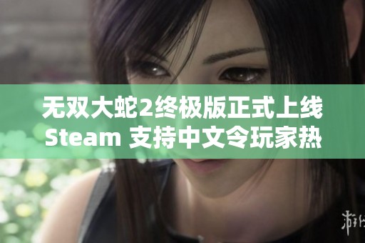 無(wú)雙大蛇2終極版正式上線(xiàn)Steam 支持中文令玩家熱淚盈眶的震撼時(shí)刻到來(lái)