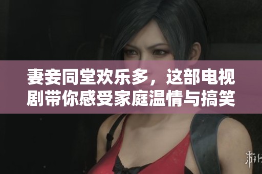 妻妾同堂歡樂(lè)多，這部電視劇帶你感受家庭溫情與搞笑瞬間