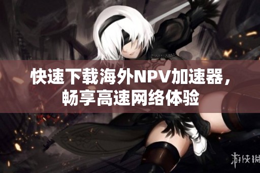 快速下載海外NPV加速器，暢享高速網(wǎng)絡(luò)體驗