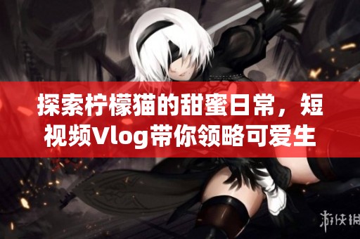 探索檸檬貓的甜蜜日常，短視頻Vlog帶你領略可愛生活