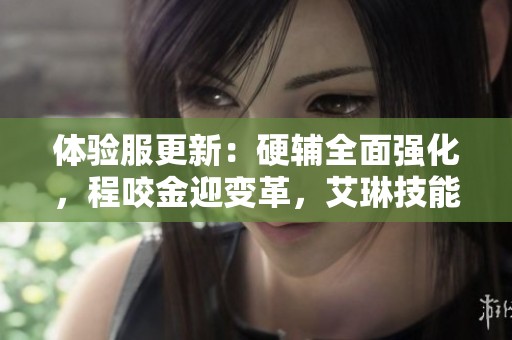 體驗(yàn)服更新：硬輔全面強(qiáng)化，程咬金迎變革，艾琳技能優(yōu)化！