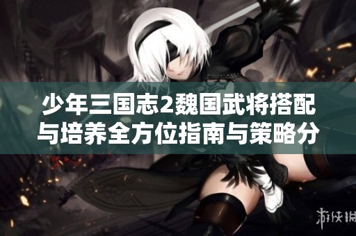 少年三國(guó)志2魏國(guó)武將搭配與培養(yǎng)全方位指南與策略分析