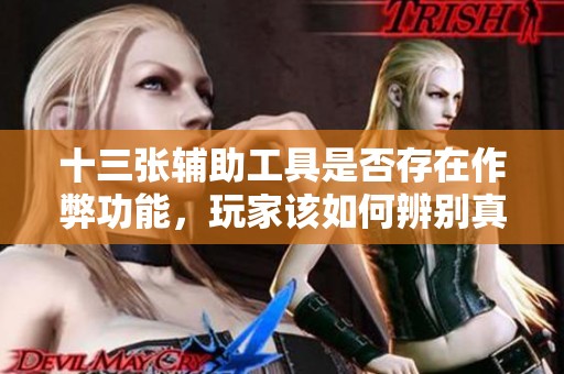 十三張輔助工具是否存在作弊功能，玩家該如何辨別真?zhèn)? title=