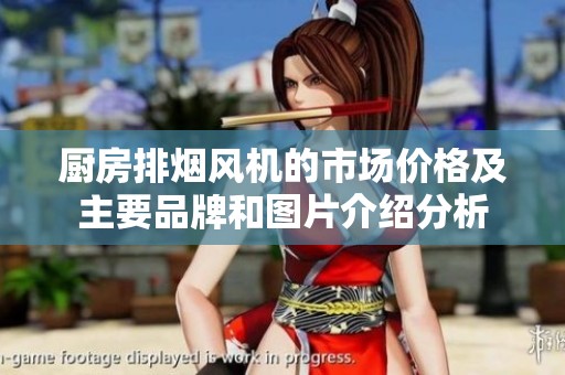 廚房排煙風(fēng)機(jī)的市場價格及主要品牌和圖片介紹分析