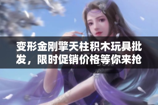 變形金剛擎天柱積木玩具批發(fā)，限時(shí)促銷價(jià)格等你來搶購