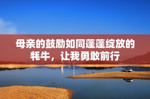 母親的鼓勵如同蓬蓬綻放的牦牛，讓我勇敢前行