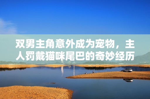 雙男主角意外成為寵物，主人罰戴貓咪尾巴的奇妙經(jīng)歷