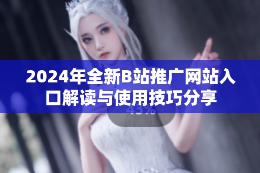 2024年全新B站推廣網(wǎng)站入口解讀與使用技巧分享
