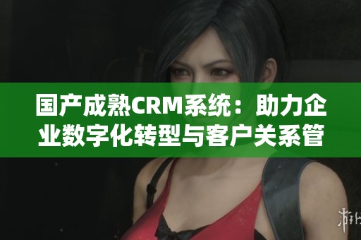 國產(chǎn)成熟CRM系統(tǒng)：助力企業(yè)數(shù)字化轉(zhuǎn)型與客戶關(guān)系管理升級