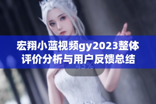 宏翔小藍視頻gy2023整體評價分析與用戶反饋總結(jié)