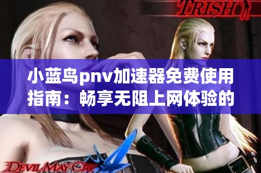 小藍(lán)鳥pnv加速器免費使用指南：暢享無阻上網(wǎng)體驗的終極武器