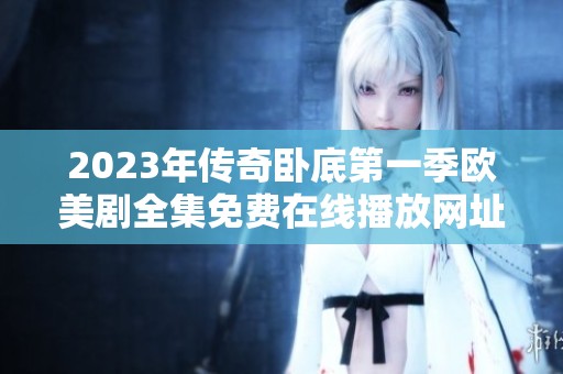 2023年傳奇臥底第一季歐美劇全集免費在線播放網(wǎng)址分享
