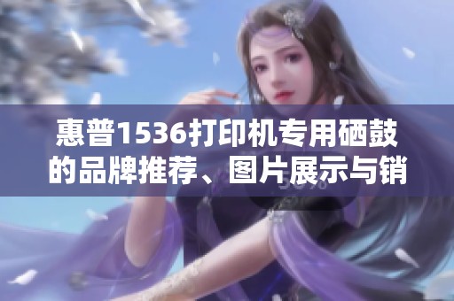 惠普1536打印機(jī)專用硒鼓的品牌推薦、圖片展示與銷量排行分析