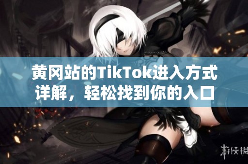 黃岡站的TikTok進(jìn)入方式詳解，輕松找到你的入口