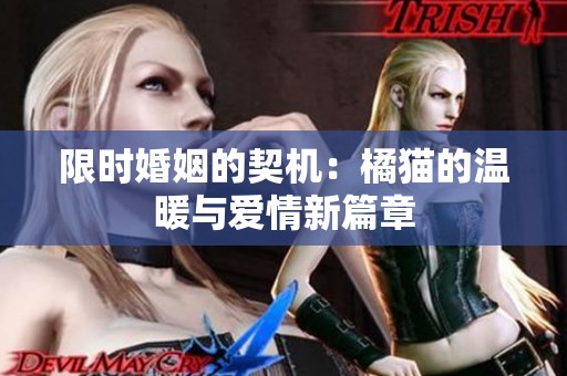 限時(shí)婚姻的契機(jī)：橘貓的溫暖與愛情新篇章