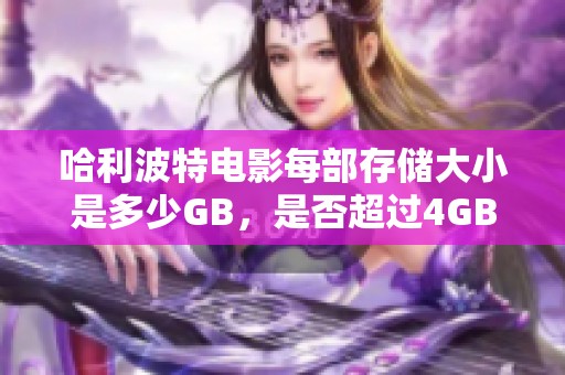 哈利波特電影每部存儲大小是多少GB，是否超過4GB呢