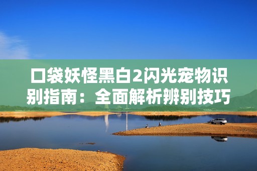 口袋妖怪黑白2閃光寵物識別指南：全面解析辨別技巧與攻略