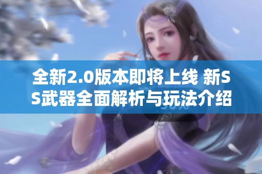 全新2.0版本即將上線 新SS武器全面解析與玩法介紹