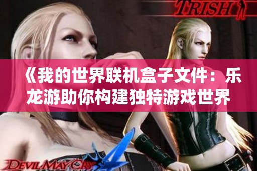 《我的世界聯(lián)機(jī)盒子文件：樂龍游助你構(gòu)建獨(dú)特游戲世界的完美伴侶》