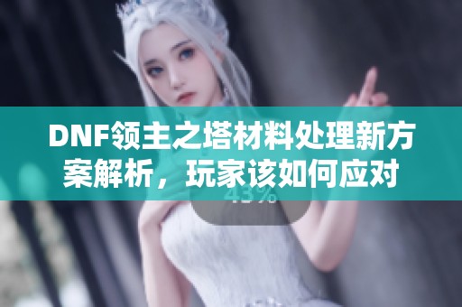 DNF領(lǐng)主之塔材料處理新方案解析，玩家該如何應(yīng)對