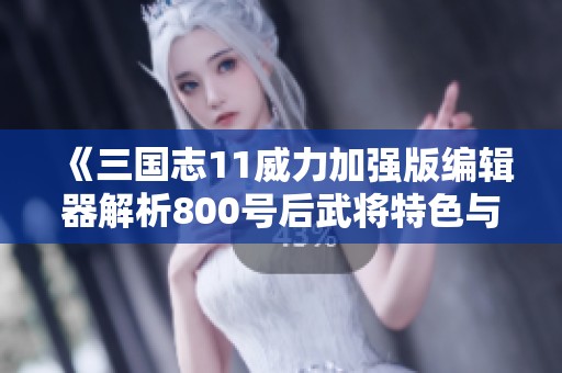《三國(guó)志11威力加強(qiáng)版編輯器解析800號(hào)后武將特色與策略》