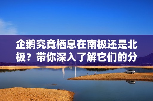 企鵝究竟棲息在南極還是北極？帶你深入了解它們的分布地帶