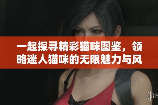 一起探尋精彩貓咪圖鑒，領略迷人貓咪的無限魅力與風采