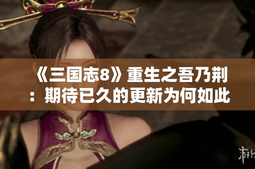 《三國志8》重生之吾乃荊：期待已久的更新為何如此緩慢你知道嗎