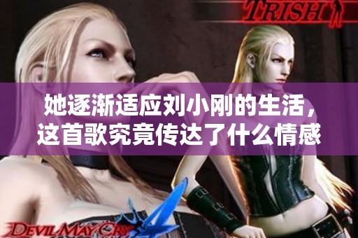 她逐漸適應(yīng)劉小剛的生活，這首歌究竟傳達(dá)了什么情感