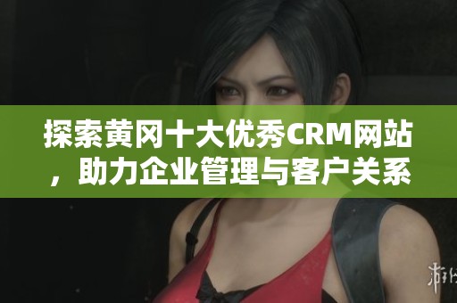 探索黃岡十大優(yōu)秀CRM網(wǎng)站，助力企業(yè)管理與客戶關(guān)系提升
