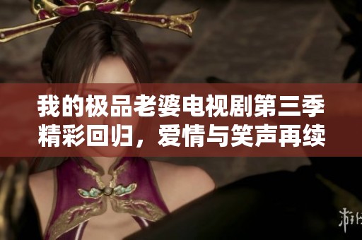 我的極品老婆電視劇第三季精彩回歸，愛情與笑聲再續(xù)前緣