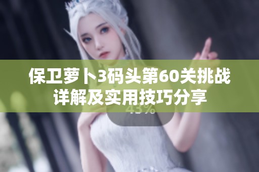 保衛(wèi)蘿卜3碼頭第60關(guān)挑戰(zhàn)詳解及實(shí)用技巧分享
