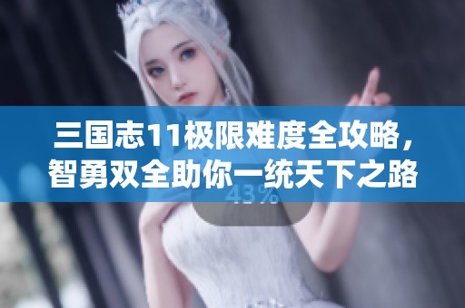 三國志11極限難度全攻略，智勇雙全助你一統(tǒng)天下之路！